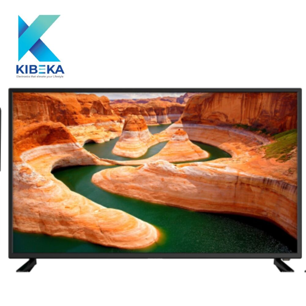 VITRON 55" Inch WEBOS 4K TV